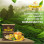 Gurudhan Special Tea-1000g
